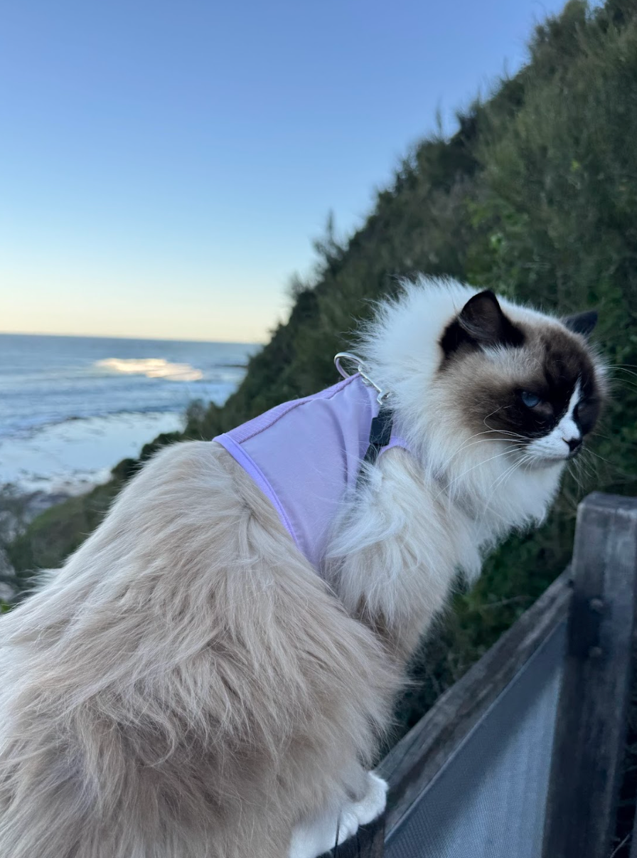 Catventure - Escape Proof Cat Harness - Lilac