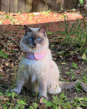 Catventure - Escape Proof Cat Harness - Pink