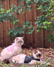 Catventure - Escape Proof Cat Harness - Pink