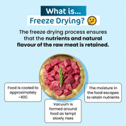 The Paw Grocer Freeze-Dried Premium Wild Boar