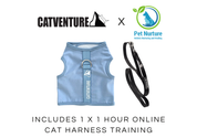 Cat Harness Training Bundle