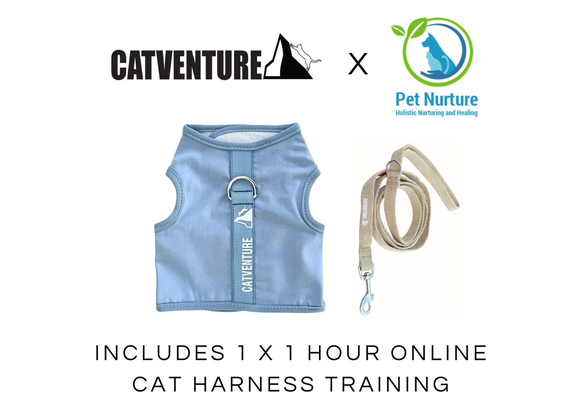 Kitten Harness Training Bundle