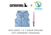 Kitten Harness Training Bundle