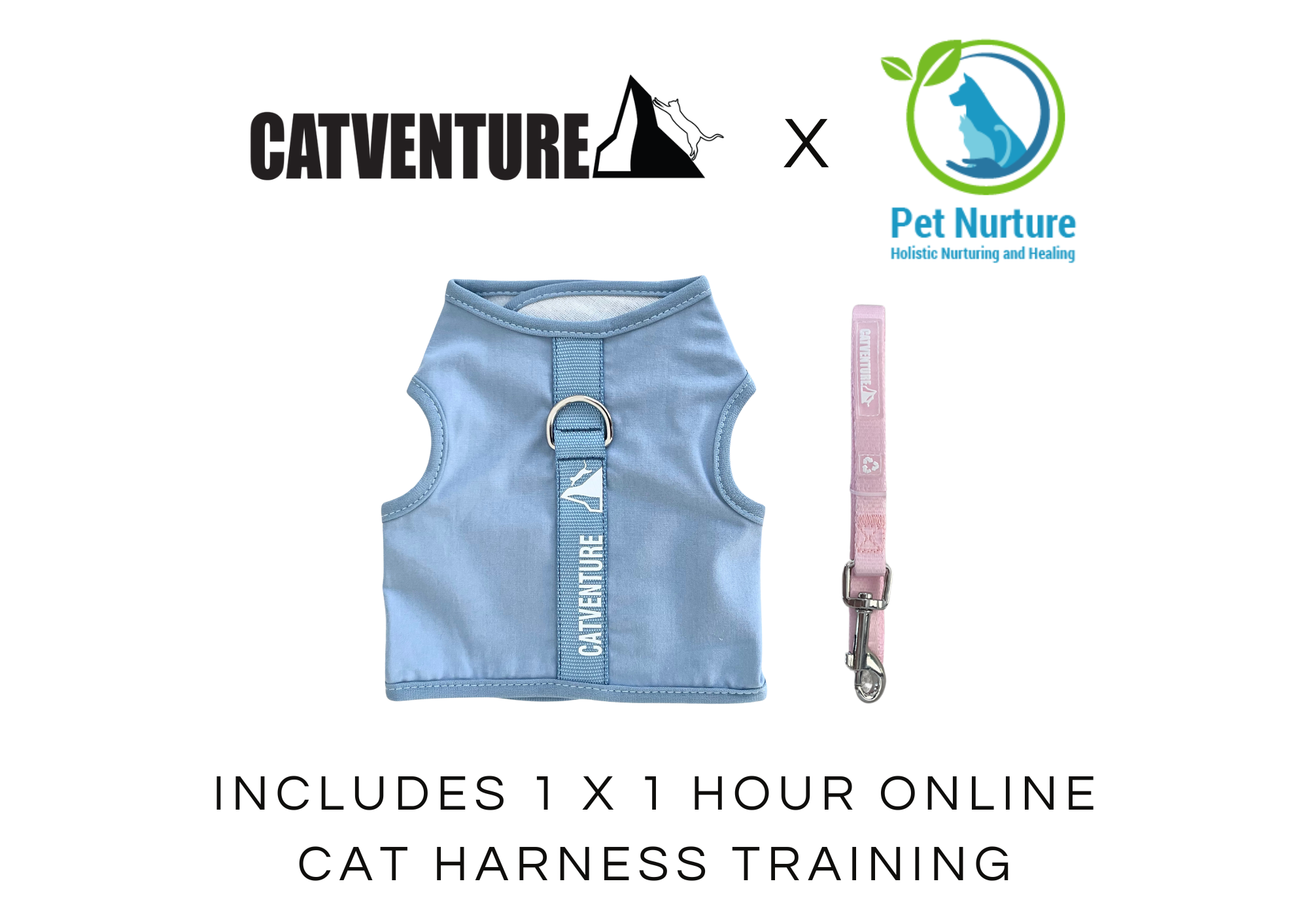 Cat Harness Training Bundle
