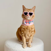 Princess Honeybelle X Catventure Cat Harness - Pink Tartan