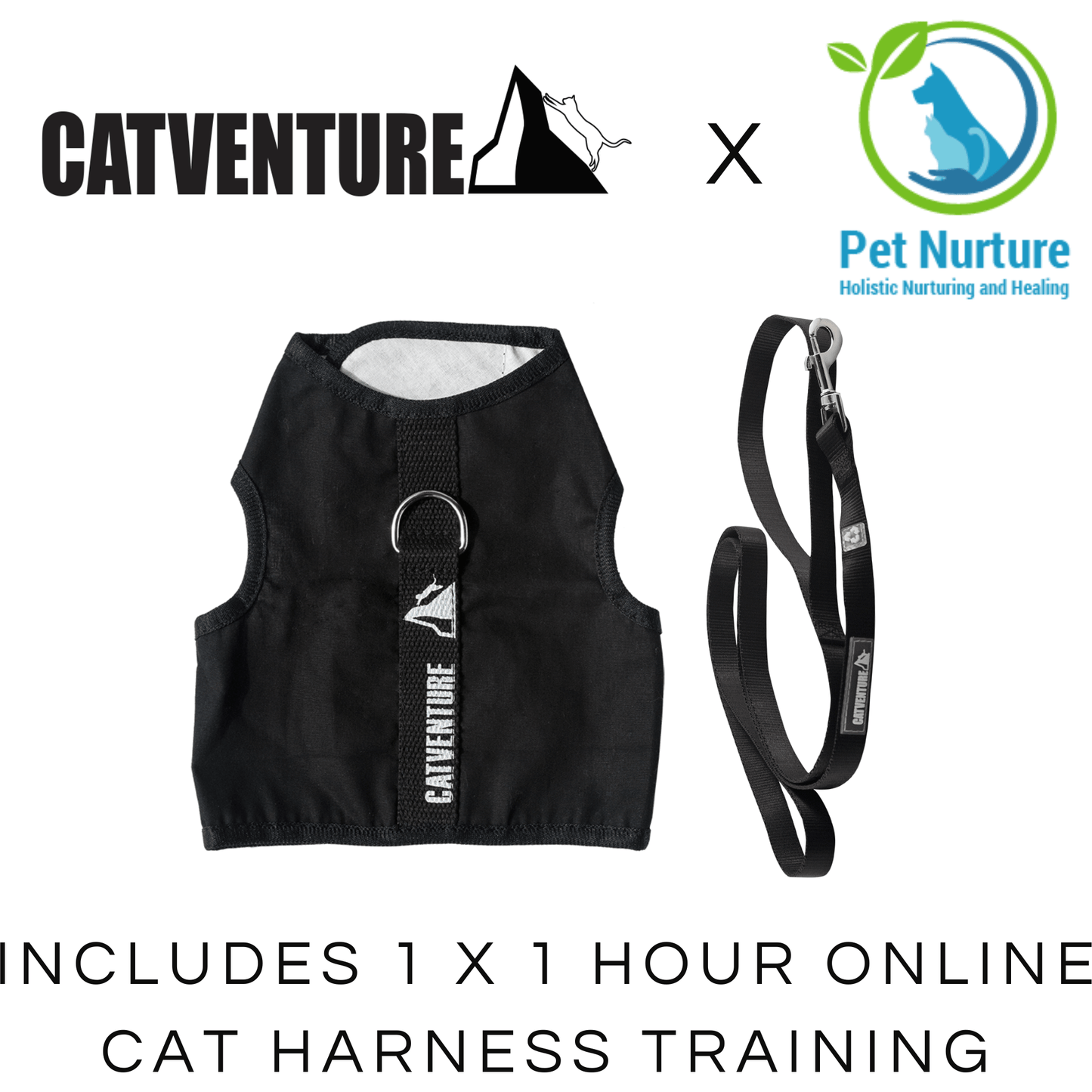 Black Catventure escape proof cat harness and black leash with Pet Nurture Training Bundle