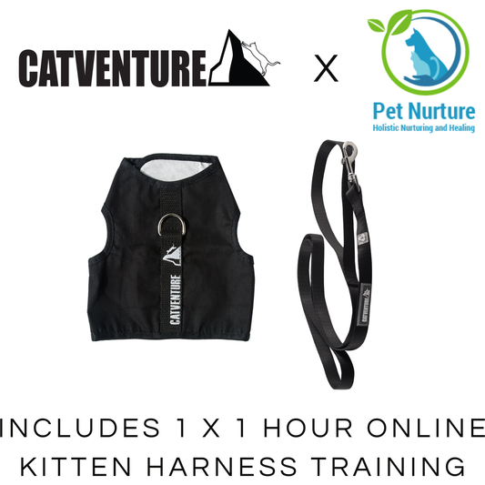 Black Catventure escape proof kitten harness and black cat leash with Pet Nurture Training Bundle
